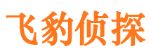 饶阳调查事务所